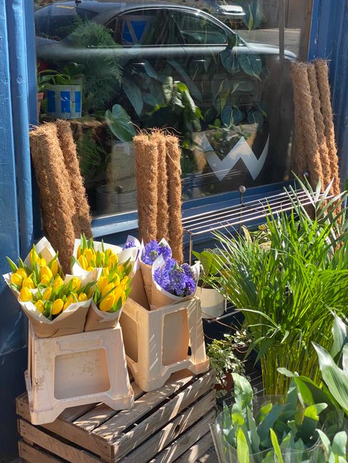 An outdoor display of flower arrangements outside a flower shop with a blue-painted exterior wall, showcasing yellow tulips and purple irises wrapped in brown paper, placed on small white plastic crat